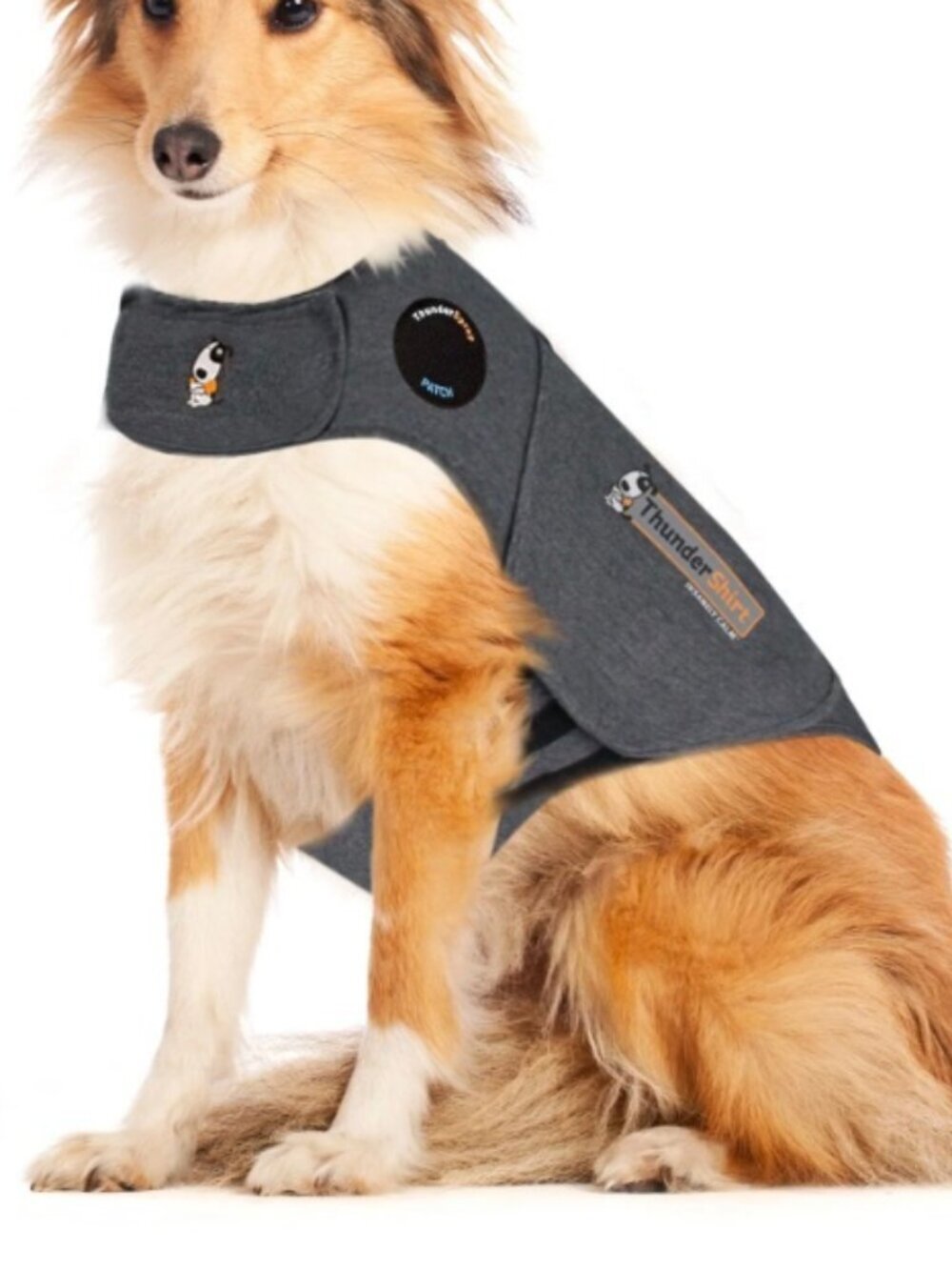 ThunderShirt Calming for Dogs